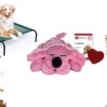 10 good gift ideas for a dog