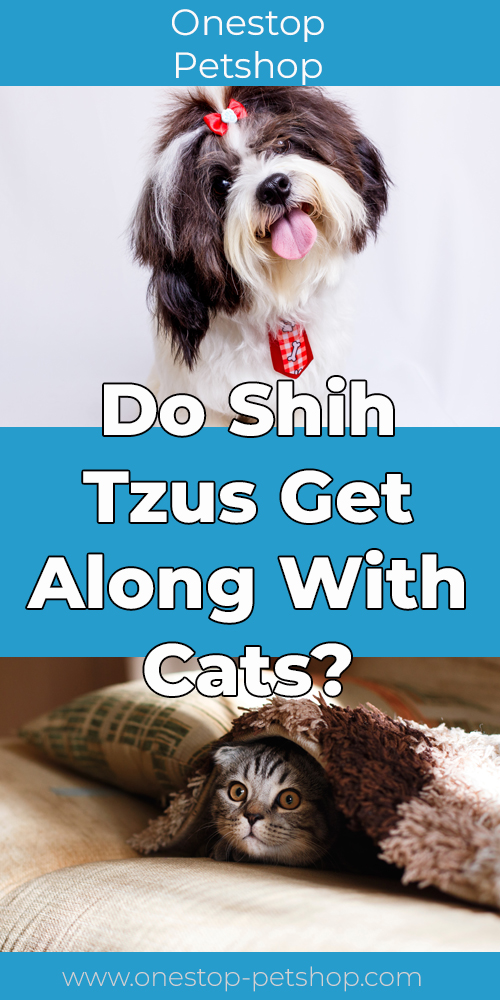 Do Shih Tzus Get Along With Cats_Pin