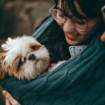 Are Shih Tzus Good with Kids? A Guide for Parents