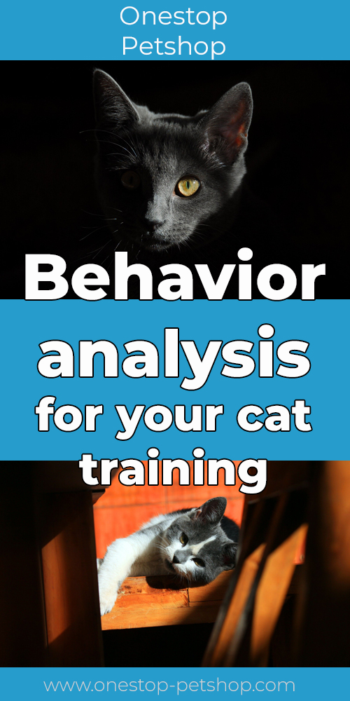 Behavior analysis for your cat training